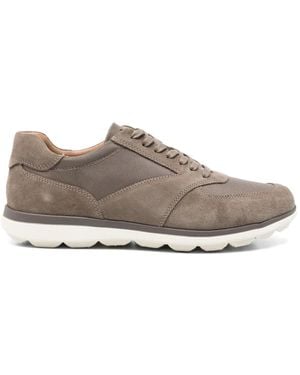 Geox Spherica Ec12 Paneled Sneakers - Gray