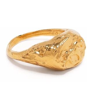 Alighieri Taurus Signet Ring - Metallic