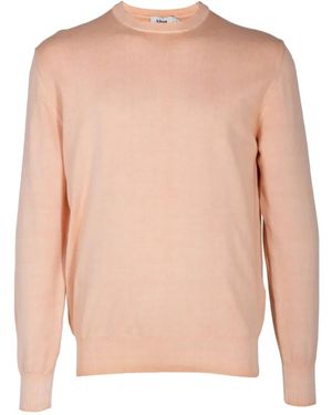 Altea Crew-Neck Long-Sleeves Sweater - Pink