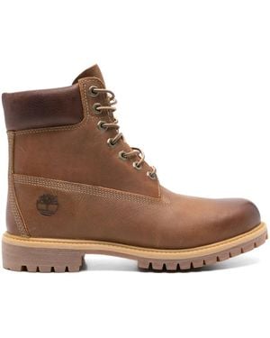 Timberland Prem 6 - Brown