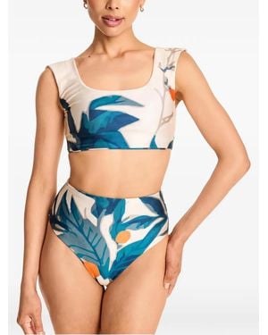 Diarrablu Leaf-Print Bikini - Blue