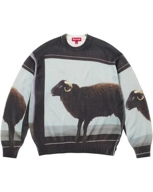 Supreme X Damien Hirst Intarsia Gebreide Trui - Grijs