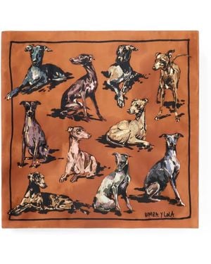 Bimba Y Lola Caramel Greyhounds Scarf - Orange