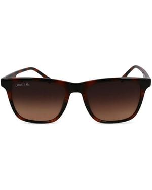 Lacoste Occhiali Da Sole Con Stampa - Marrone