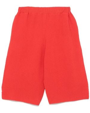 Homme Plissé Issey Miyake Cotton Shorts - Red