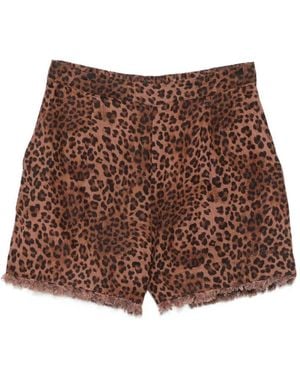MC2 Saint Barth Amani Leopard-Print Frayed Shorts - Brown