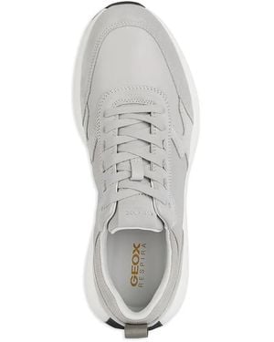 Geox Low-top sneakers - Gris