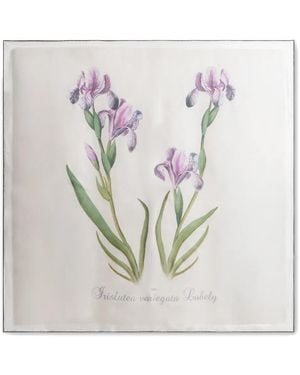 Alberta Ferretti Floral Silk Scarf - White