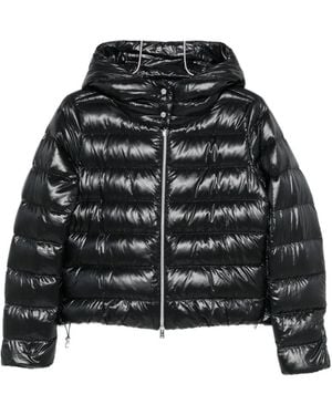 Herno Quilted Zip-Up Hooded Jacket - Black