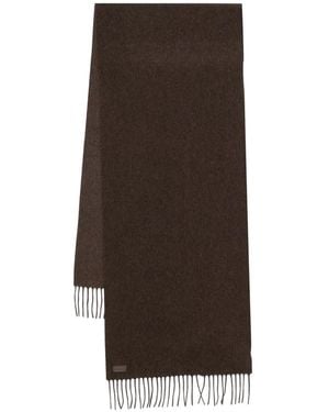 Canali Fringed Scarf - Brown