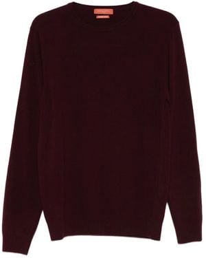 Daniele Fiesoli Crew-Neck Long-Sleeve Jumper - Purple