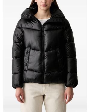DKNY Quilted Puffer Jacket - Black