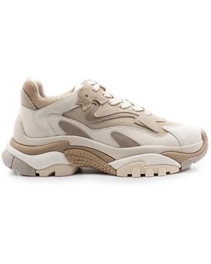 Ash Panelled Trainers - White