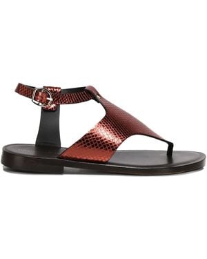 Giuliano Galiano Sissy Round-Toe Sandals - Brown