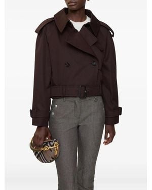 Burberry ベルテッド ジャケット - ブラウン