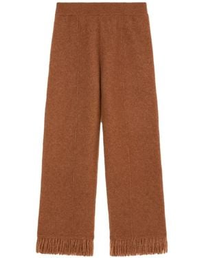 Alanui Fringed-Detail Pants - Brown