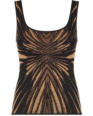 Roberto Cavalli Ray Of-Print Top - Brown