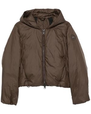 Canada Goose Elba Hooded Puffer Jacket - Brown