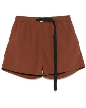 Paura Harlem Shorts - Brown