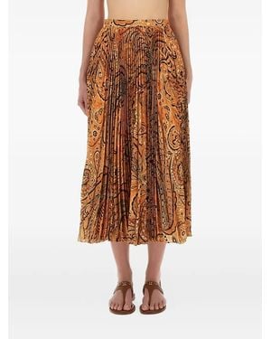 Etro Geplooide Sablé Rok Met Print - Bruin