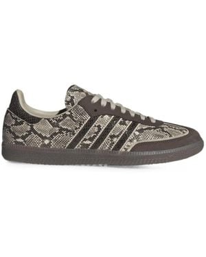 adidas Sneakers - Multicolour