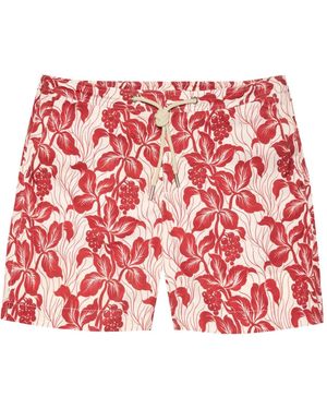 Orlebar Brown Floral-Print Swim Shorts - Red
