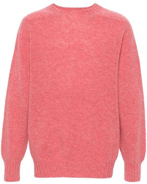 Howlin' Maglione Birth Of The Cool - Rosa