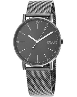 Skagen Reloj Signatur Con Correa De Malla - Gris