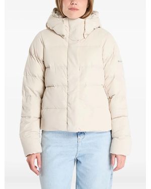 Columbia Amaze Puff Jacket - Blue