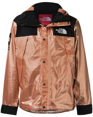 Supreme X The North Face Metallic Mountain Jacket - Black