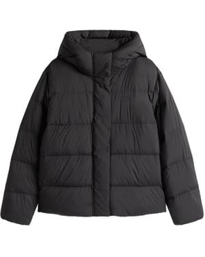 Tommy Hilfiger フーデッド パデッドジャケット - ブラック