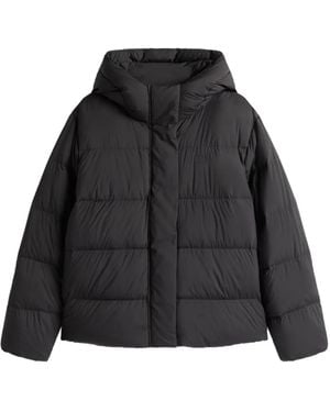 Tommy Hilfiger Down Hooded Puffer Jacket - Black