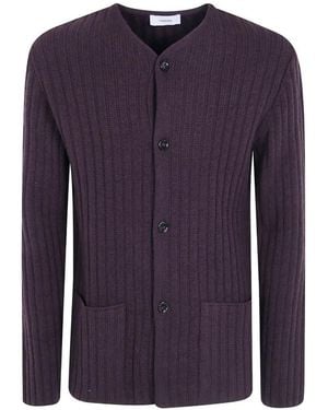 Lardini Le Origini Ribbed-Knit Button-Up Cardigan - Blue