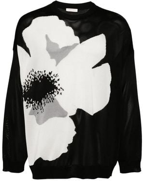 Valentino Garavani Flower-Print Cotton-Jersey Sweatshirt - Black