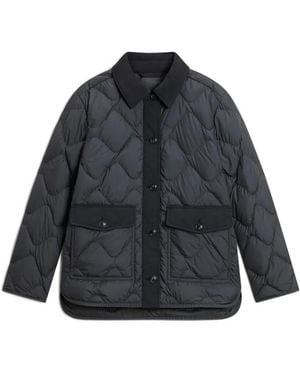 Woolrich Heritage Quilted Stand-Up Collar Jacket - Blue