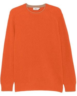 Altea Ribbed-Knit Raglan-Sleeve Sweater - Orange