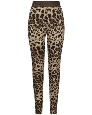 Dolce & Gabbana Leggings - Brown