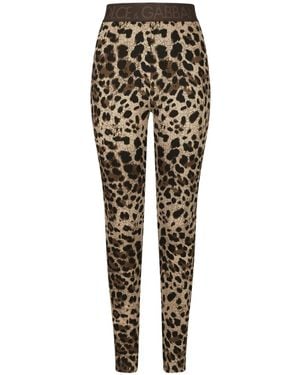 Dolce & Gabbana Leggings - Brown