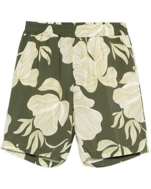 Altea Floral-Print Shorts - Green