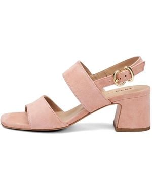 Frau Block-Heel Suede Sandals - Pink