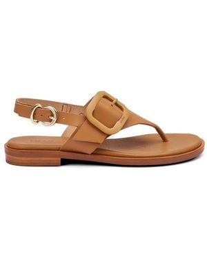Frau Buckle-Detail Thong Sandals - Brown