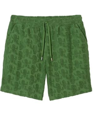 Closed Cotton Shorts - Green