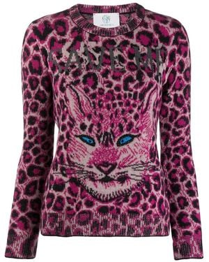 Alberta Ferretti Pull En Maille Intarsia - Violet
