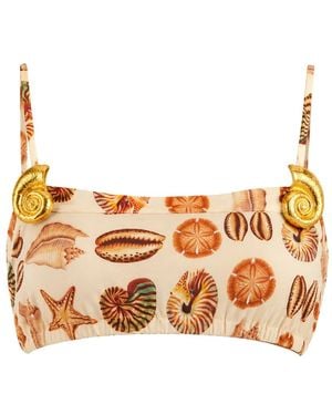 FARM Rio Marine Shells-Print Balloon Top - Orange