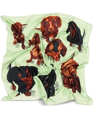 Bimba Y Lola Dogs-Print Scarf - Green