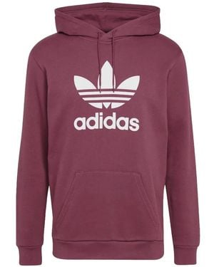 adidas Adicolor Classics Trefoil Hoodie - Purple