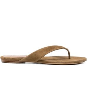 Le Monde Beryl Suede Thong Flat Sandals - Brown