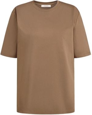 12 STOREEZ Cotton T-Shirt - Brown