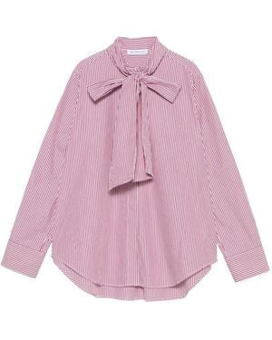 Manuel Ritz Camisa A Rayas - Rosa