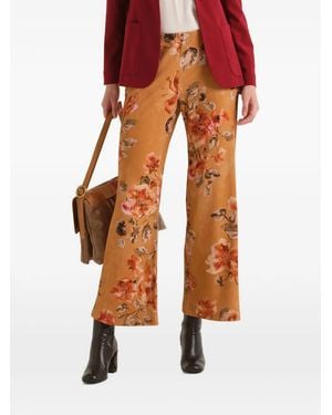 Maliparmi Frosted Blossom Flared Pants - Orange